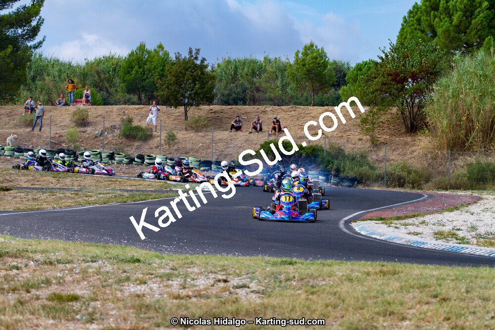 IMG_7958.jpg