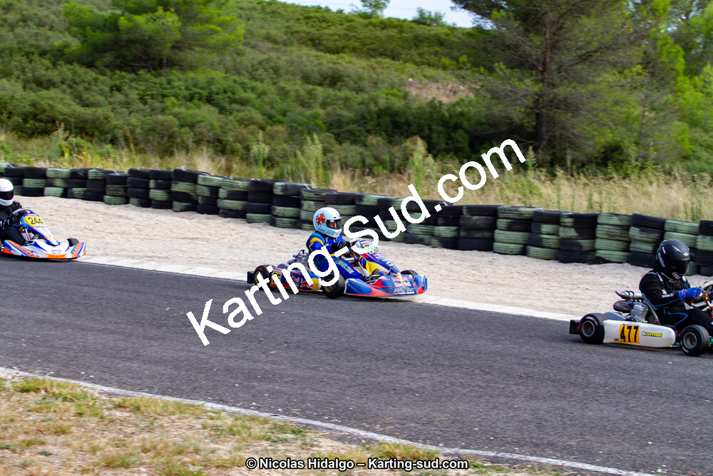 IMG_7979.jpg
