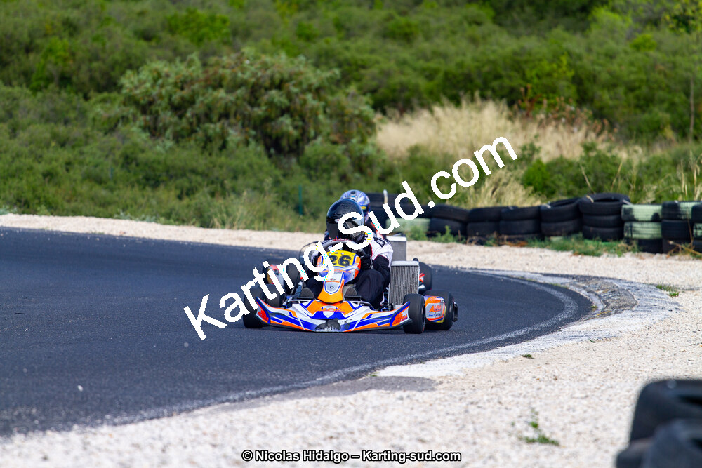 IMG_7993.jpg