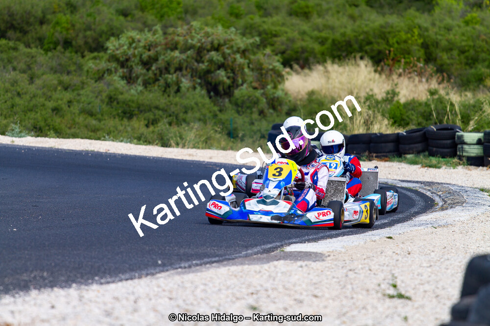 IMG_7997.jpg