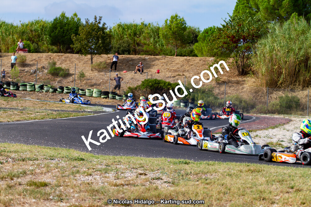 IMG_8162.jpg