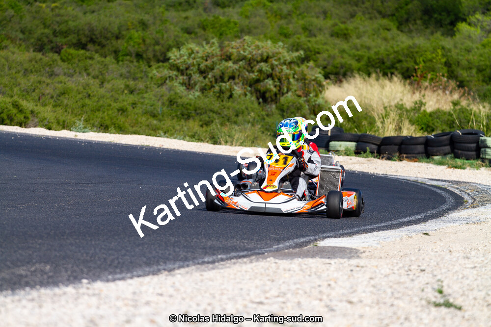 IMG_8213.jpg