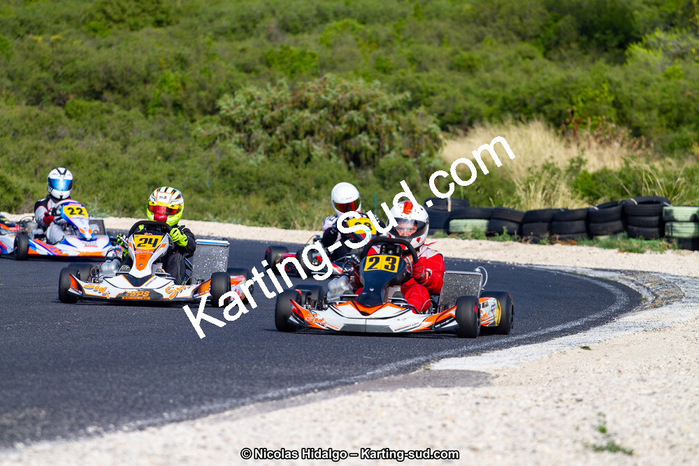 IMG_8227.jpg