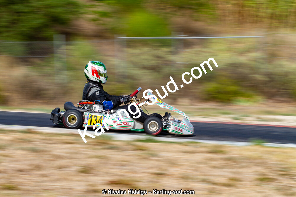 IMG_8274.jpg
