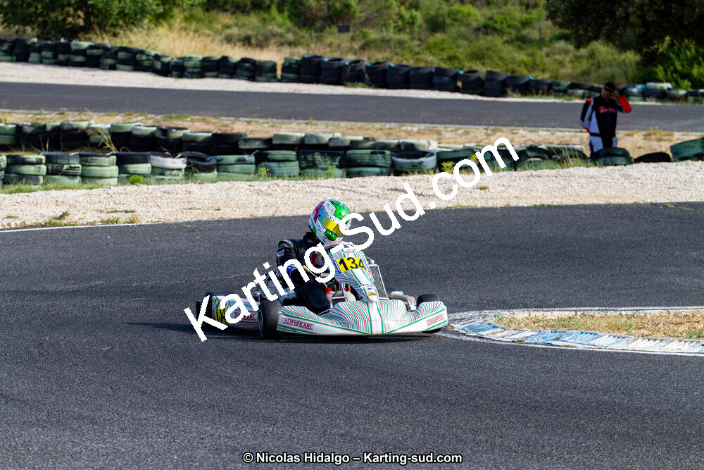 IMG_8288.jpg