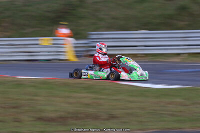 10 & 11/11/2018 : 3ème manche du Championnat de France KZ Long Circuit et Trophée Long Circuit TTI à Pau Arnos (Photos Stéphane Agnus) 2018 — karting