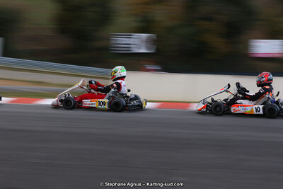 10 & 11/11/2018 : 3ème manche du Championnat de France KZ Long Circuit et Trophée Long Circuit TTI à Pau Arnos (Photos Stéphane Agnus) 2018 — karting