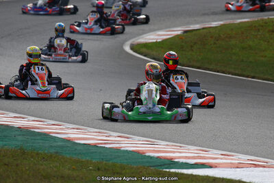 10 & 11/11/2018 : 3ème manche du Championnat de France KZ Long Circuit et Trophée Long Circuit TTI à Pau Arnos (Photos Stéphane Agnus) 2018 — karting