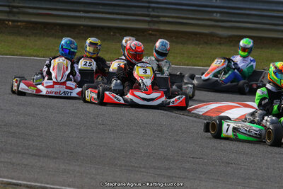 10 & 11/11/2018 : 3ème manche du Championnat de France KZ Long Circuit et Trophée Long Circuit TTI à Pau Arnos (Photos Stéphane Agnus) 2018 — karting