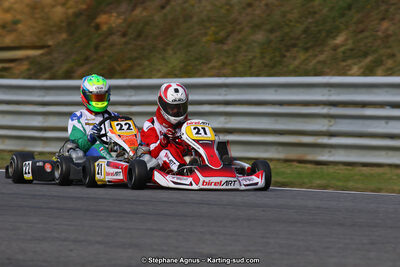 10 & 11/11/2018 : 3ème manche du Championnat de France KZ Long Circuit et Trophée Long Circuit TTI à Pau Arnos (Photos Stéphane Agnus) 2018 — karting