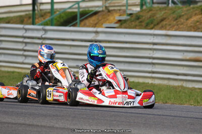 10 & 11/11/2018 : 3ème manche du Championnat de France KZ Long Circuit et Trophée Long Circuit TTI à Pau Arnos (Photos Stéphane Agnus) 2018 — karting