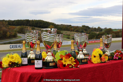 10 & 11/11/2018 : 3ème manche du Championnat de France KZ Long Circuit et Trophée Long Circuit TTI à Pau Arnos (Photos Stéphane Agnus) 2018 — karting