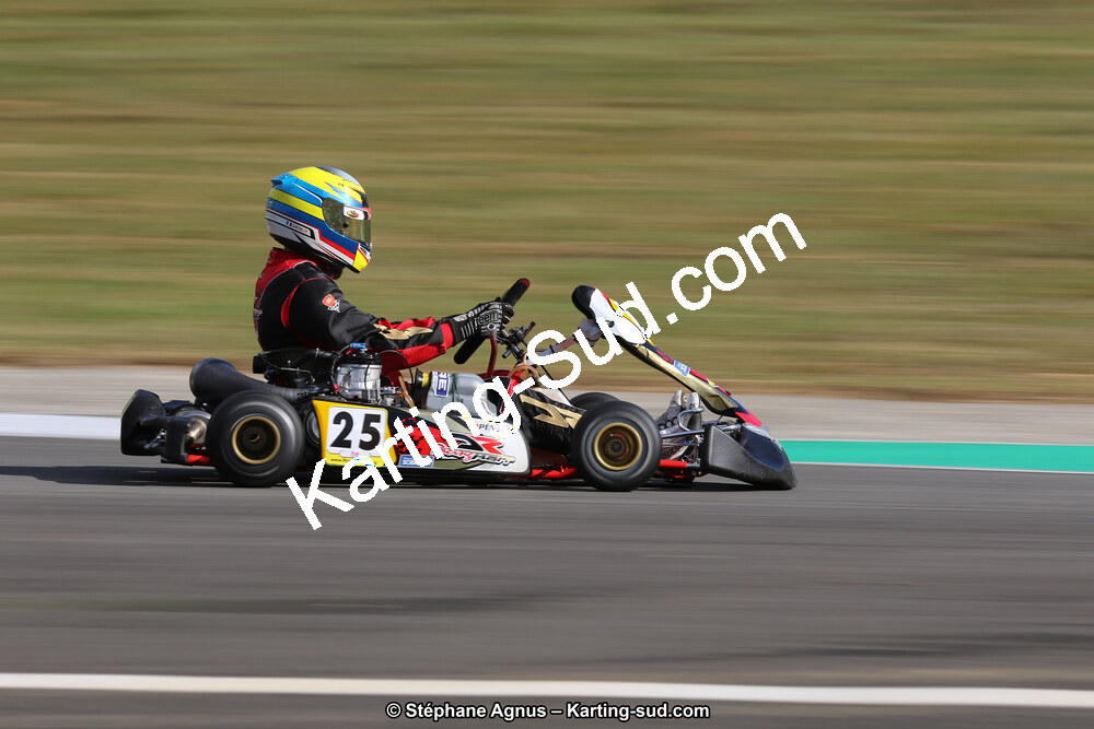 10 & 11/11/2018 : 3ème manche du Championnat de France KZ Long Circuit et Trophée Long Circuit TTI à Pau Arnos (Photos Stéphane Agnus) 2018 — karting