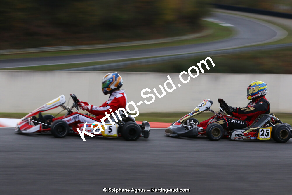 10 & 11/11/2018 : 3ème manche du Championnat de France KZ Long Circuit et Trophée Long Circuit TTI à Pau Arnos (Photos Stéphane Agnus) 2018 — karting