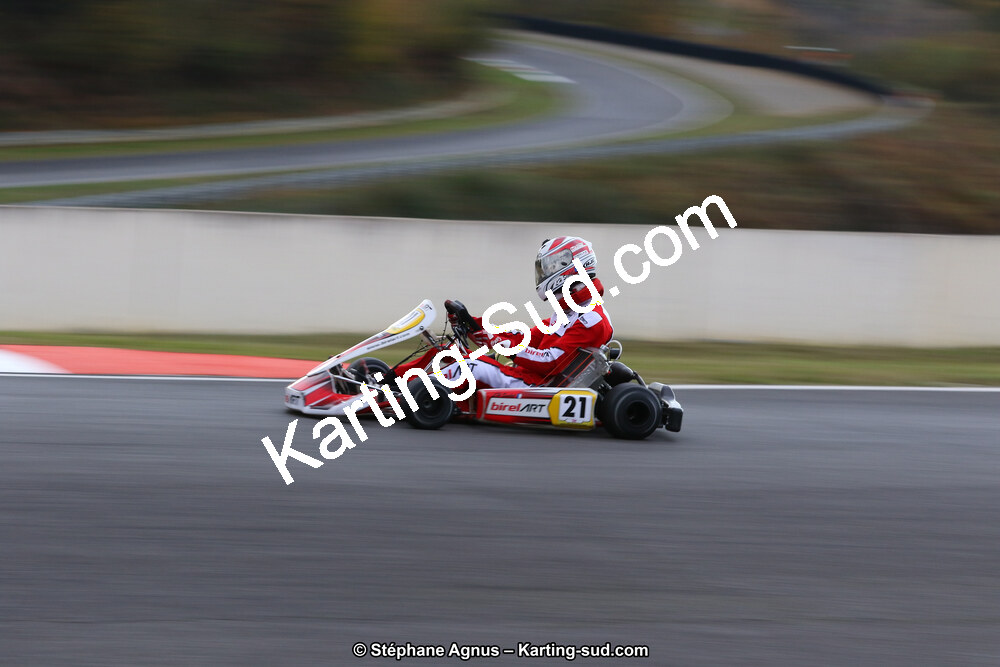 10 & 11/11/2018 : 3ème manche du Championnat de France KZ Long Circuit et Trophée Long Circuit TTI à Pau Arnos (Photos Stéphane Agnus) 2018 — karting