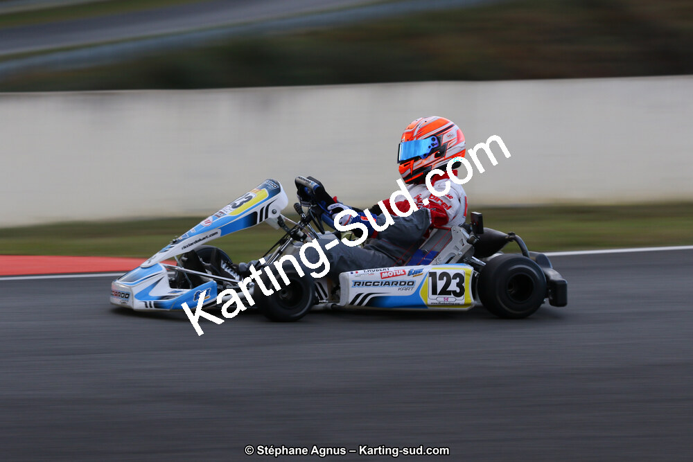 10 & 11/11/2018 : 3ème manche du Championnat de France KZ Long Circuit et Trophée Long Circuit TTI à Pau Arnos (Photos Stéphane Agnus) 2018 — karting