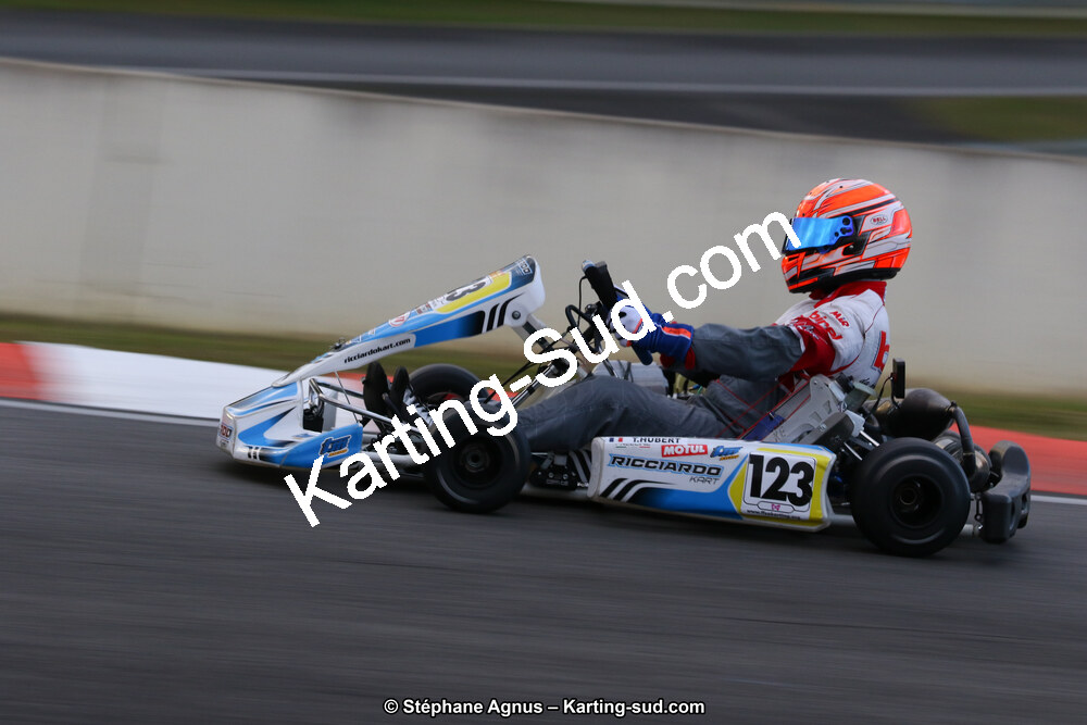 10 & 11/11/2018 : 3ème manche du Championnat de France KZ Long Circuit et Trophée Long Circuit TTI à Pau Arnos (Photos Stéphane Agnus) 2018 — karting