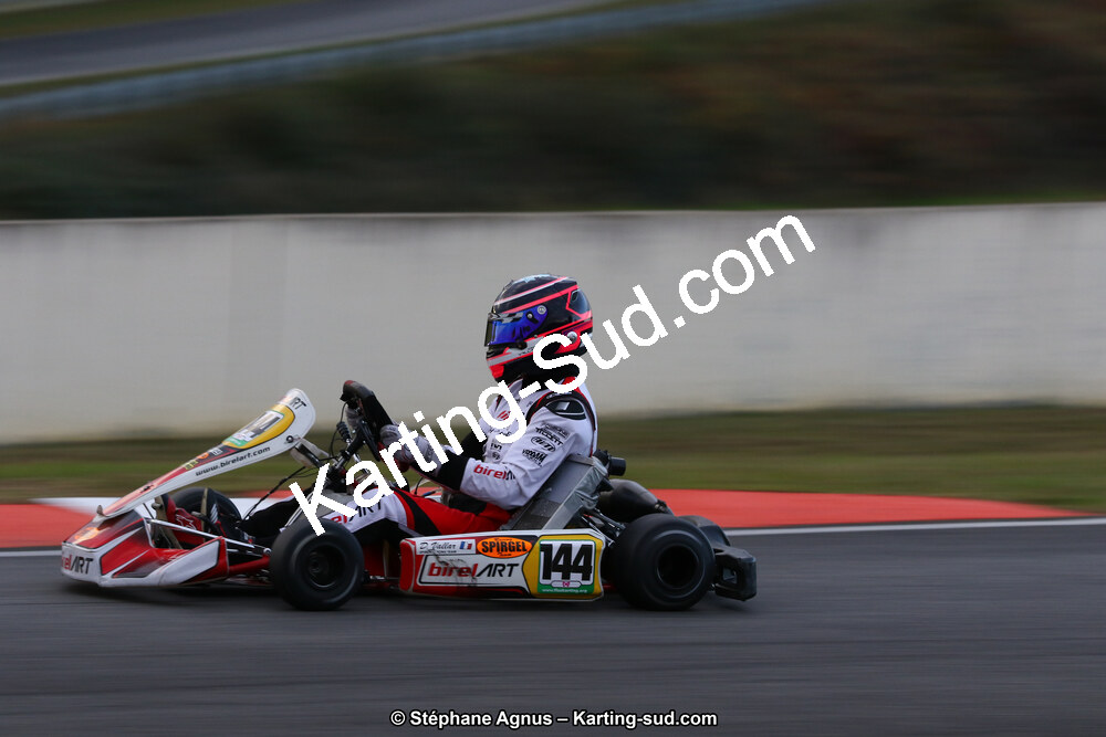 10 & 11/11/2018 : 3ème manche du Championnat de France KZ Long Circuit et Trophée Long Circuit TTI à Pau Arnos (Photos Stéphane Agnus) 2018 — karting