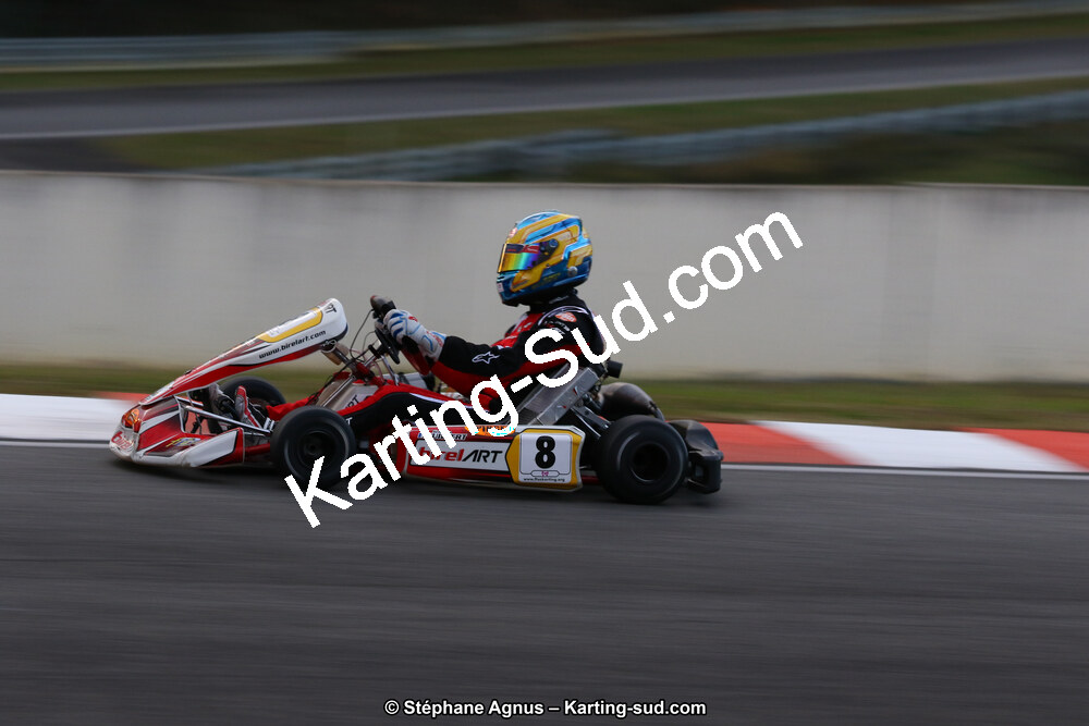 10 & 11/11/2018 : 3ème manche du Championnat de France KZ Long Circuit et Trophée Long Circuit TTI à Pau Arnos (Photos Stéphane Agnus) 2018 — karting