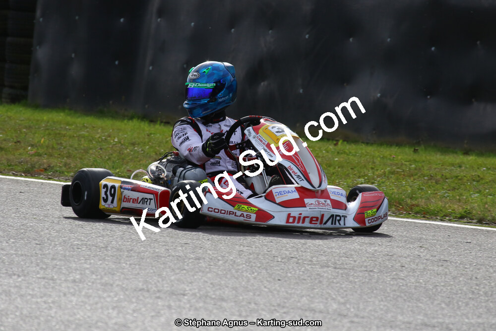 10 & 11/11/2018 : 3ème manche du Championnat de France KZ Long Circuit et Trophée Long Circuit TTI à Pau Arnos (Photos Stéphane Agnus) 2018 — karting