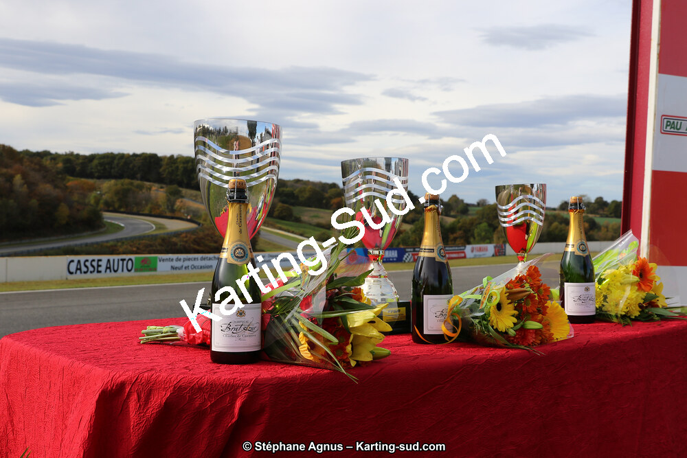 10 & 11/11/2018 : 3ème manche du Championnat de France KZ Long Circuit et Trophée Long Circuit TTI à Pau Arnos (Photos Stéphane Agnus) 2018 — karting