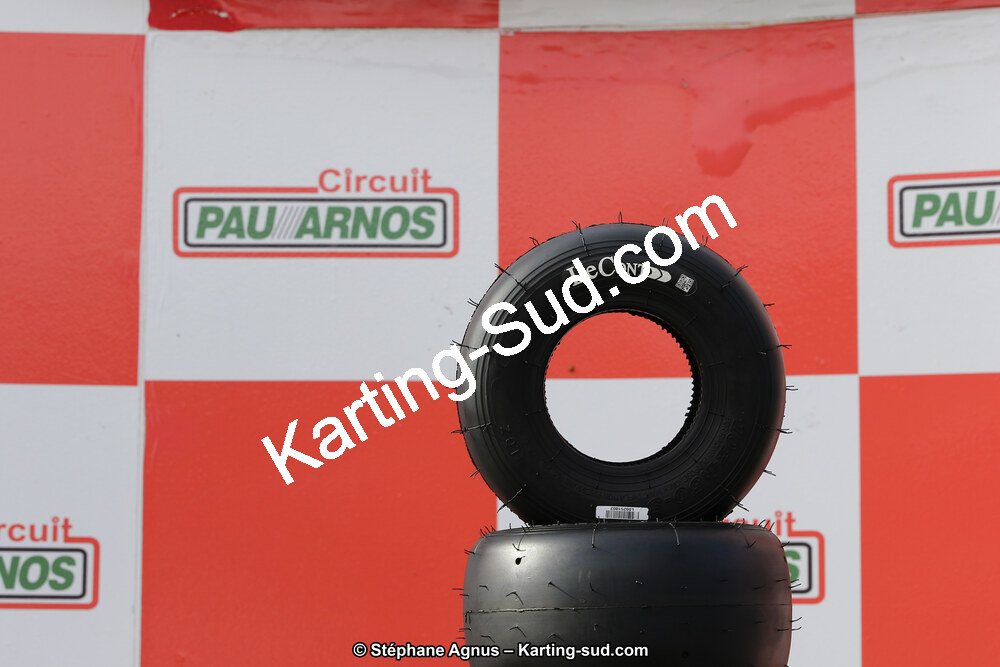 10 & 11/11/2018 : 3ème manche du Championnat de France KZ Long Circuit et Trophée Long Circuit TTI à Pau Arnos (Photos Stéphane Agnus) 2018 — karting