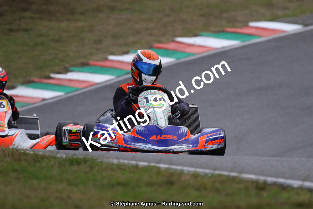 10 & 11/11/2018 : 3ème manche du Championnat de France KZ Long Circuit et Trophée Long Circuit TTI à Pau Arnos (Photos Stéphane Agnus) 2018 — karting