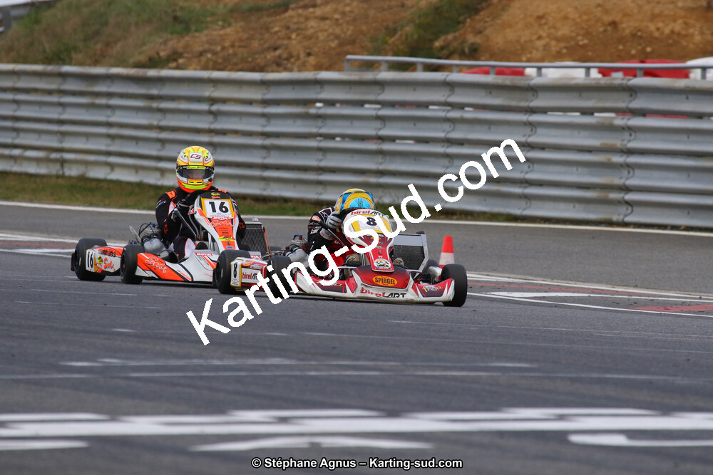 10 & 11/11/2018 : 3ème manche du Championnat de France KZ Long Circuit et Trophée Long Circuit TTI à Pau Arnos (Photos Stéphane Agnus) 2018 — karting