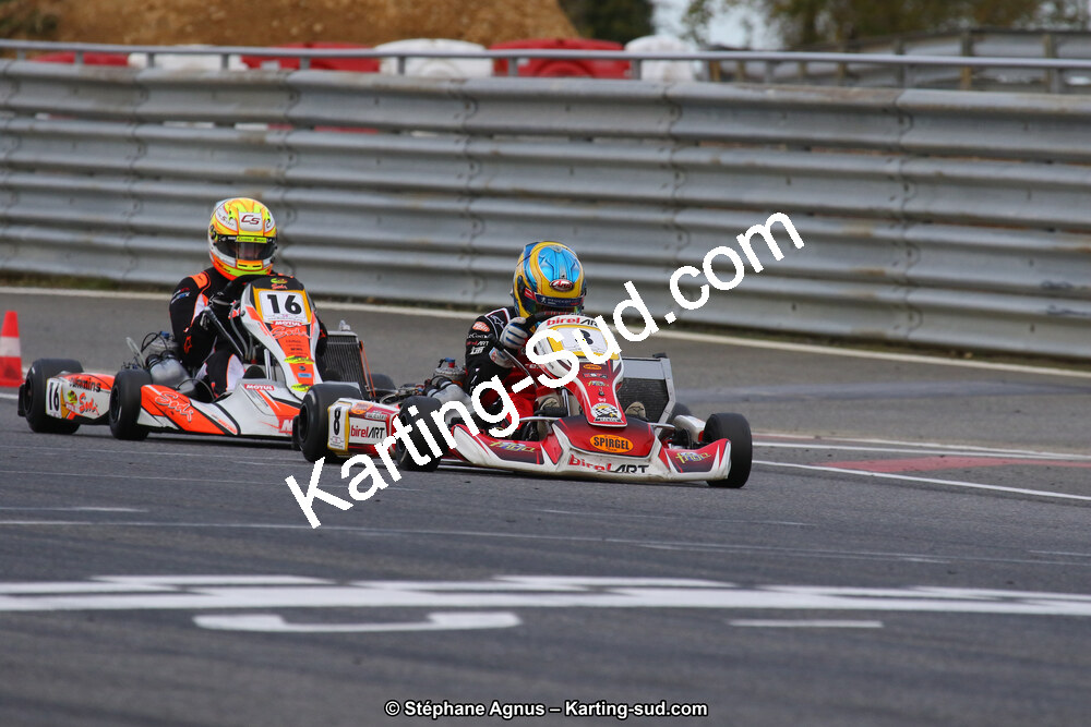 10 & 11/11/2018 : 3ème manche du Championnat de France KZ Long Circuit et Trophée Long Circuit TTI à Pau Arnos (Photos Stéphane Agnus) 2018 — karting