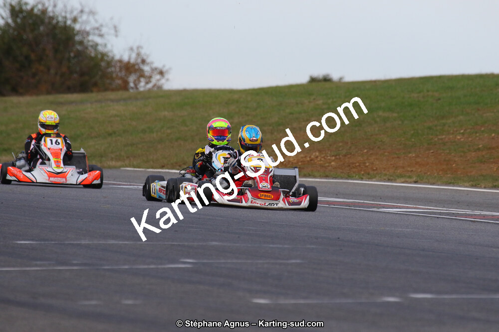10 & 11/11/2018 : 3ème manche du Championnat de France KZ Long Circuit et Trophée Long Circuit TTI à Pau Arnos (Photos Stéphane Agnus) 2018 — karting