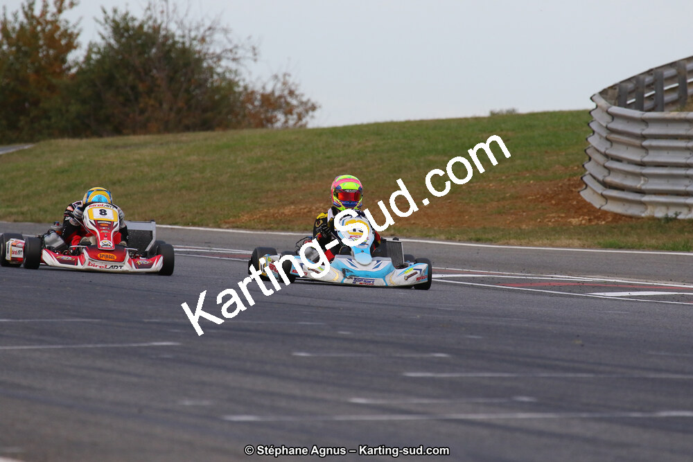 10 & 11/11/2018 : 3ème manche du Championnat de France KZ Long Circuit et Trophée Long Circuit TTI à Pau Arnos (Photos Stéphane Agnus) 2018 — karting