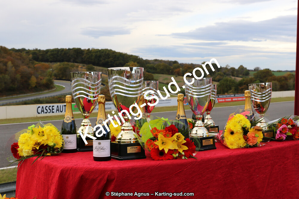 10 & 11/11/2018 : 3ème manche du Championnat de France KZ Long Circuit et Trophée Long Circuit TTI à Pau Arnos (Photos Stéphane Agnus) 2018 — karting