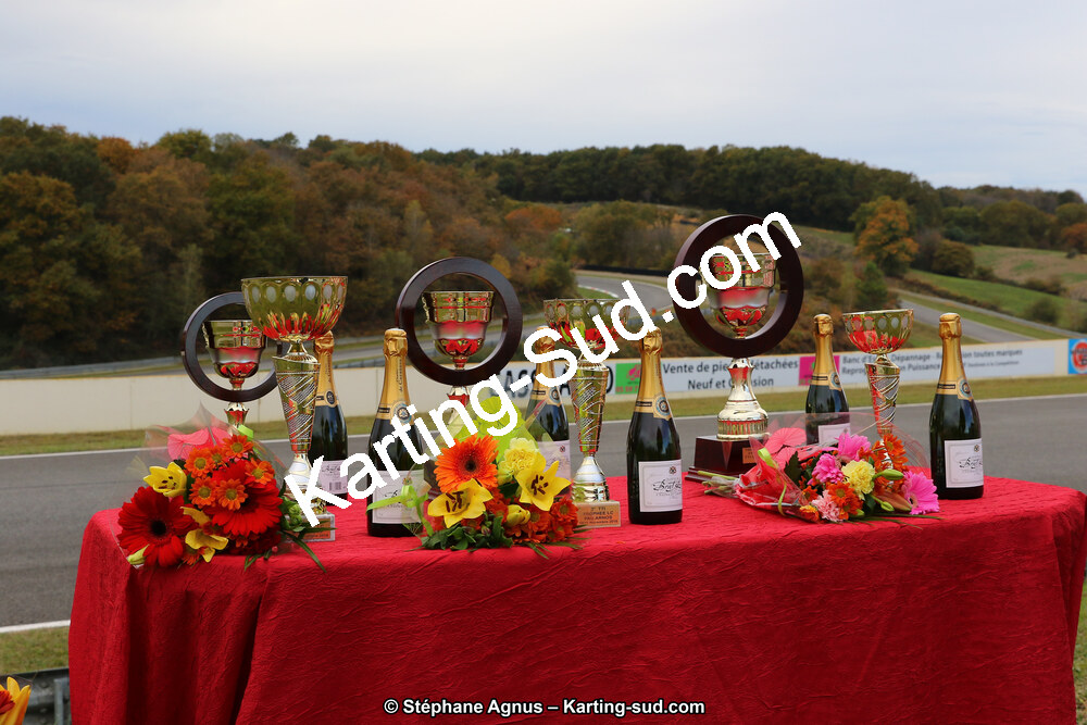 10 & 11/11/2018 : 3ème manche du Championnat de France KZ Long Circuit et Trophée Long Circuit TTI à Pau Arnos (Photos Stéphane Agnus) 2018 — karting