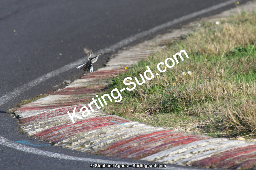 17 & 18/11/2018 : Trophée Magickart 2018 à Ganges (Photos Stéphane Agnus) 2018 — karting