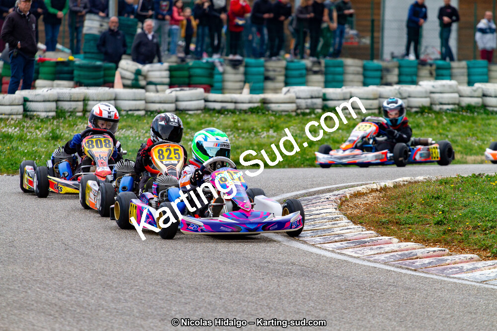 IMG_2282.jpg