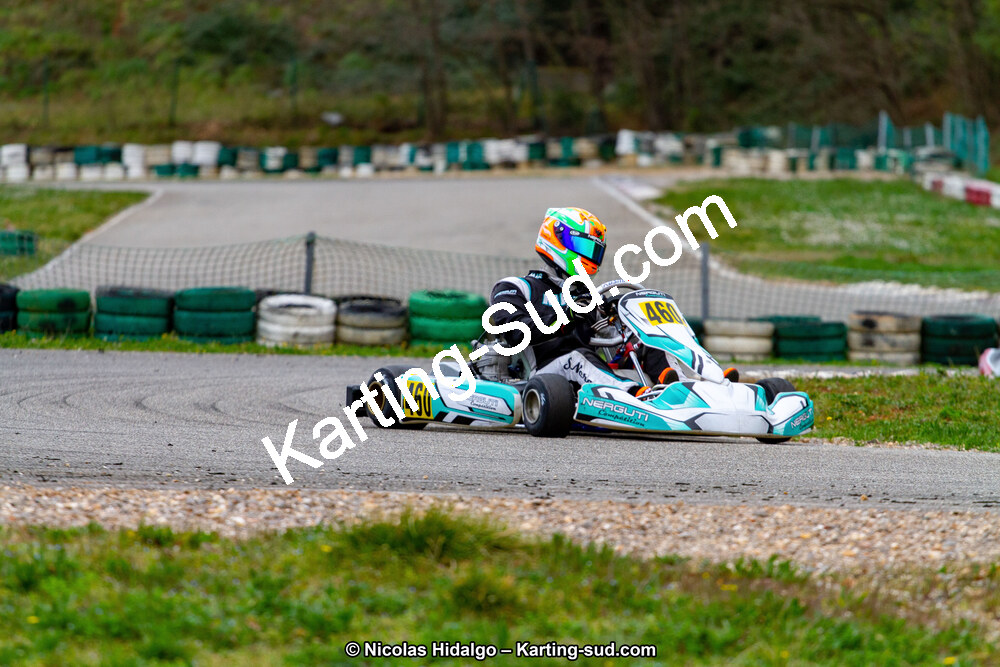IMG_2354.jpg