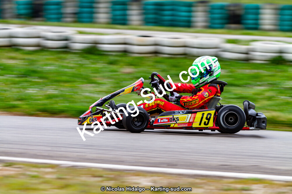 IMG_2376.jpg