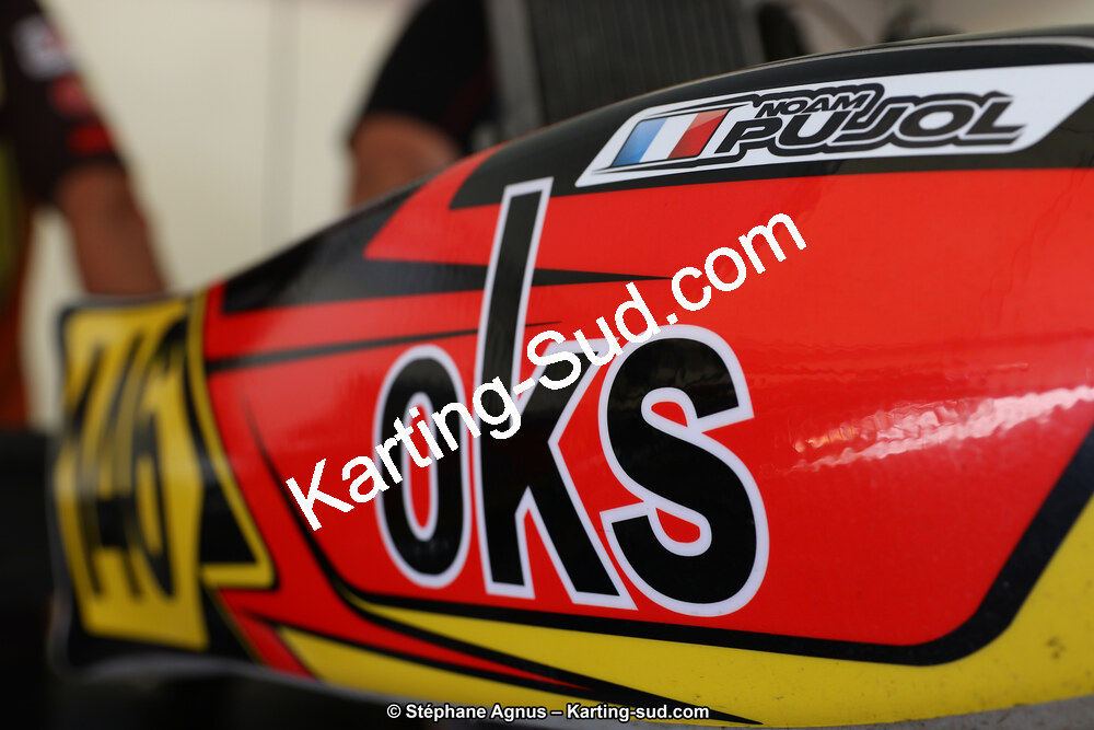 01 & 02/06/2019 : 4ème manche du Championnat du Sud à Ganges (Photos Stéphane Agnus) 2019 — karting