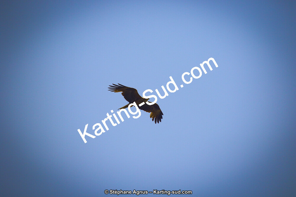 1G8A6827.jpg