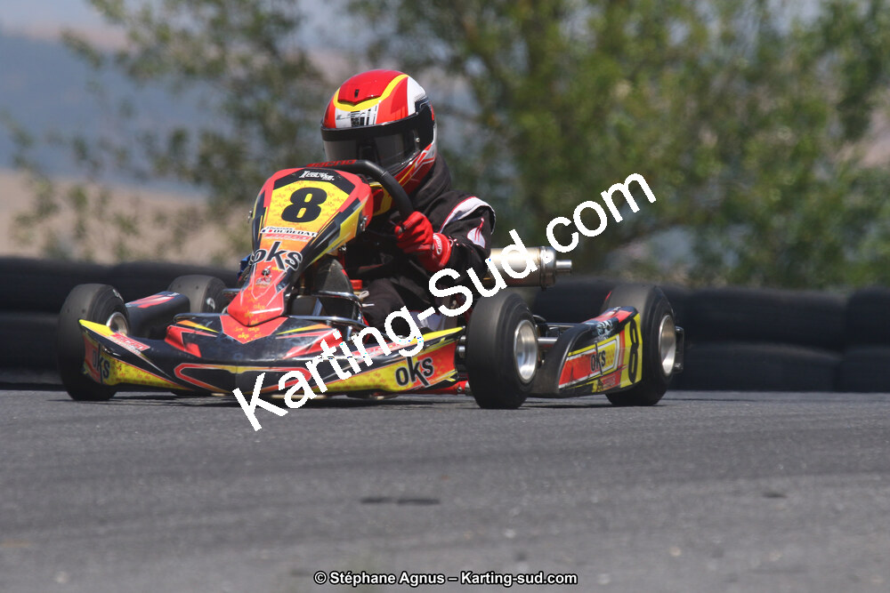 30/06/2019 : Challenge Jean-Claude Sanchez à Belmont sur Rance (Photos Stéphane Agnus) 2019 — karting