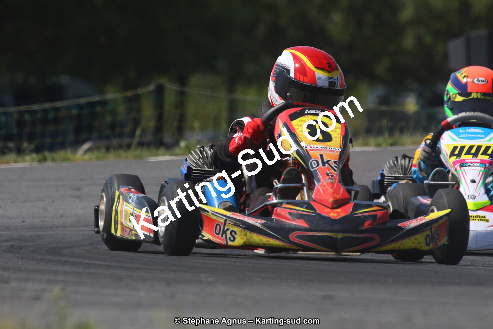 30/06/2019 : Challenge Jean-Claude Sanchez à Belmont sur Rance (Photos Stéphane Agnus) 2019 — karting