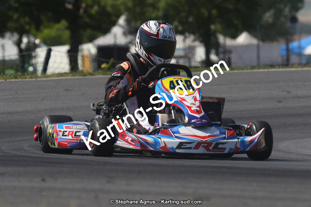 30/06/2019 : Challenge Jean-Claude Sanchez à Belmont sur Rance (Photos Stéphane Agnus) 2019 — karting