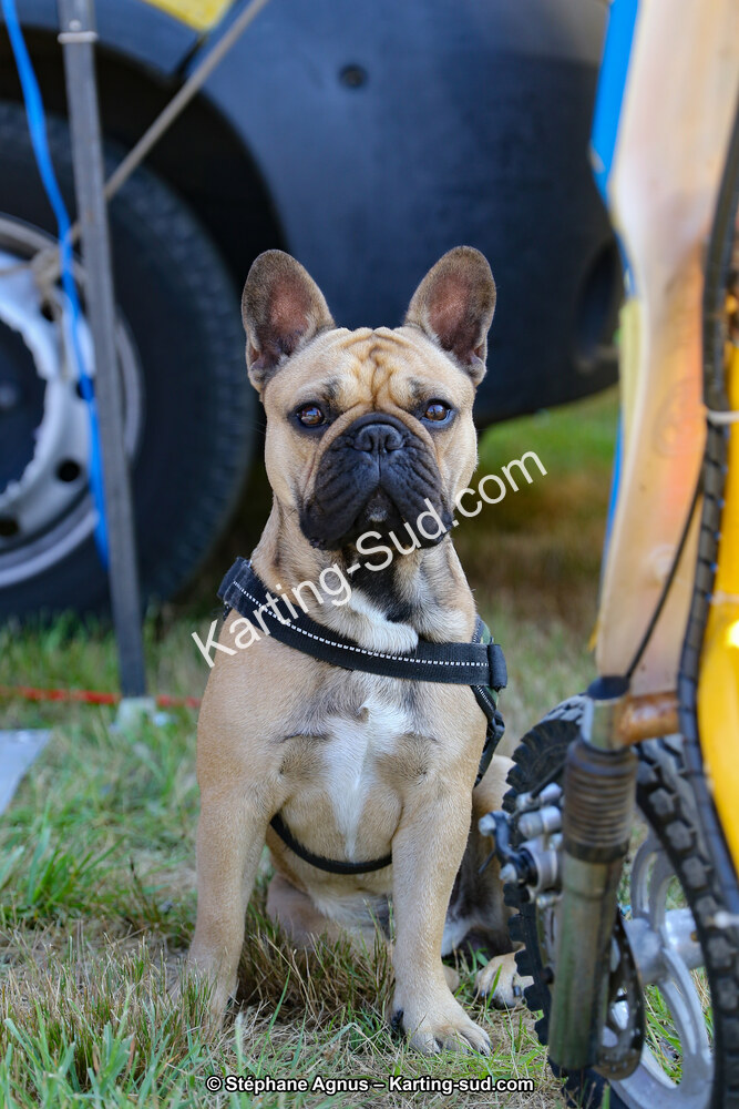 06 & 07/07/2019 : Rassemblement National UFOLEP Karting 2019 à Escource (Photos Stéphane Agnus) 2019 — karting