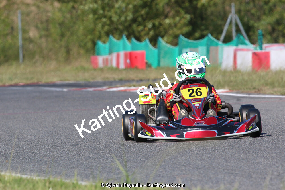 IMG_7985.JPG