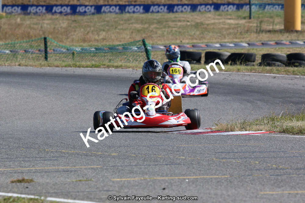 IMG_9531.JPG