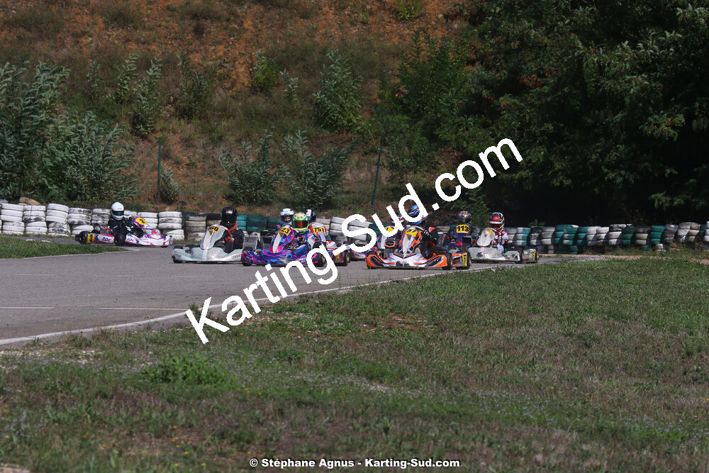 1G8A1004.jpg