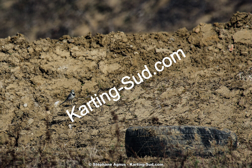 13/10/2019 : Trophée UFOLEP Kart Aquitaine à Layrac (Photos Stéphane Agnus) 2019 — karting