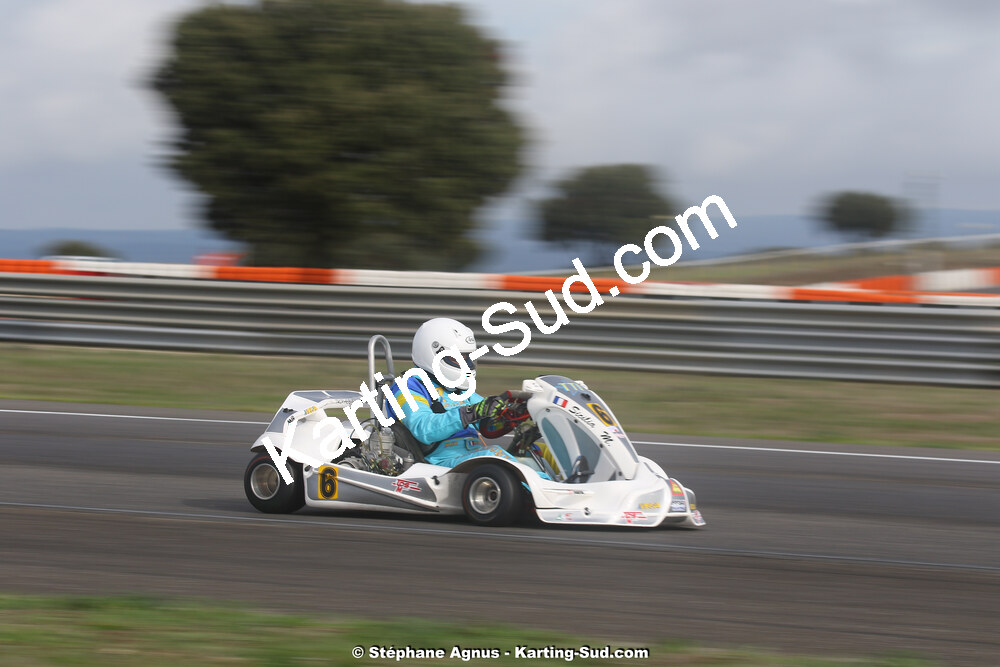 02 & 03/11/2019 : 3ème manche du Championnat de France KZ Long Circuit et Trophée TTI Carbone à Lédenon (Photos Stéphane Agnus) 2019 — karting