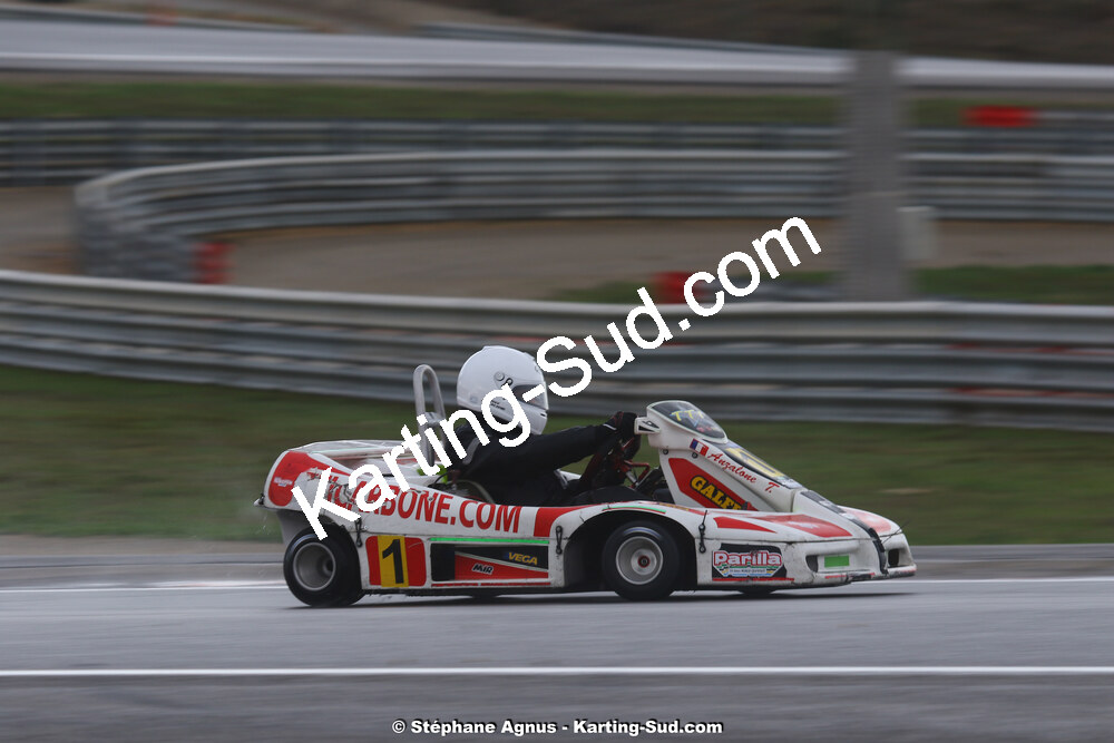 02 & 03/11/2019 : 3ème manche du Championnat de France KZ Long Circuit et Trophée TTI Carbone à Lédenon (Photos Stéphane Agnus) 2019 — karting