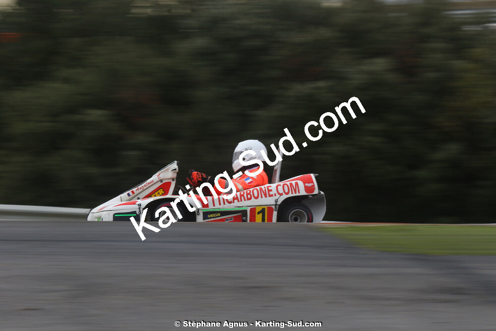 02 & 03/11/2019 : 3ème manche du Championnat de France KZ Long Circuit et Trophée TTI Carbone à Lédenon (Photos Stéphane Agnus) 2019 — karting